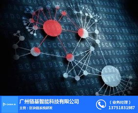 人工智能賦能未來 從數據處理到區域發展——以肇慶鏈基智能為例