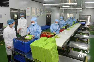 南方觀察|博羅啟動(dòng)“鏈長制”，首發(fā)者為何是食品添加劑產(chǎn)業(yè)？
