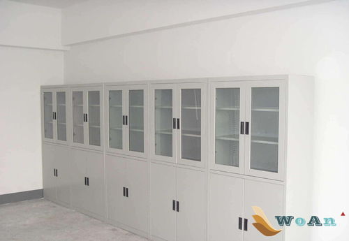 藥品柜 實(shí)驗(yàn)臺(tái)廠家,通風(fēng)柜,實(shí)驗(yàn)室家具